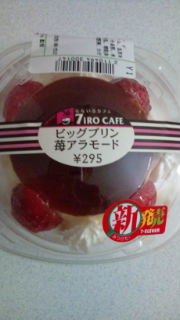 20100218173107.jpg